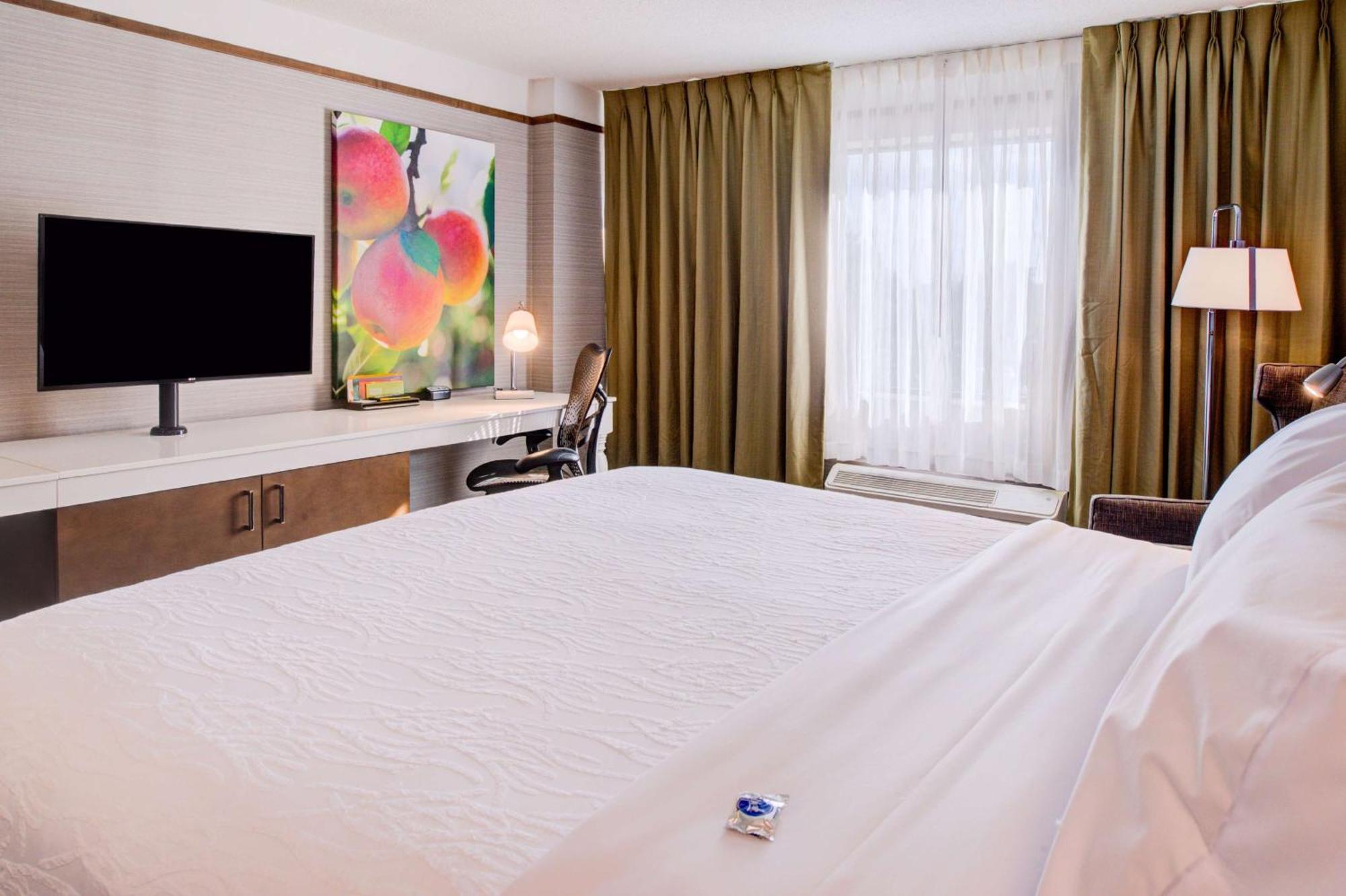 King Room,1276967341:JPEG